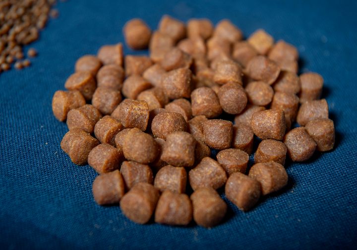 Forbrukerne i England og Frankrike har liten kunnskap om hva laksens fôr består av. Foto: Helge Skodvin, Nofima.