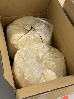 Proteinpulveret laget av laksehoder skal nå sendes til Sverige. Der skal de testes på svenske menn. Foto: Nofima