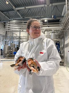 Senior scientist Tone Aspevik holding the salmon heads soon to become protein powder for male fertility. Photo: Nofima