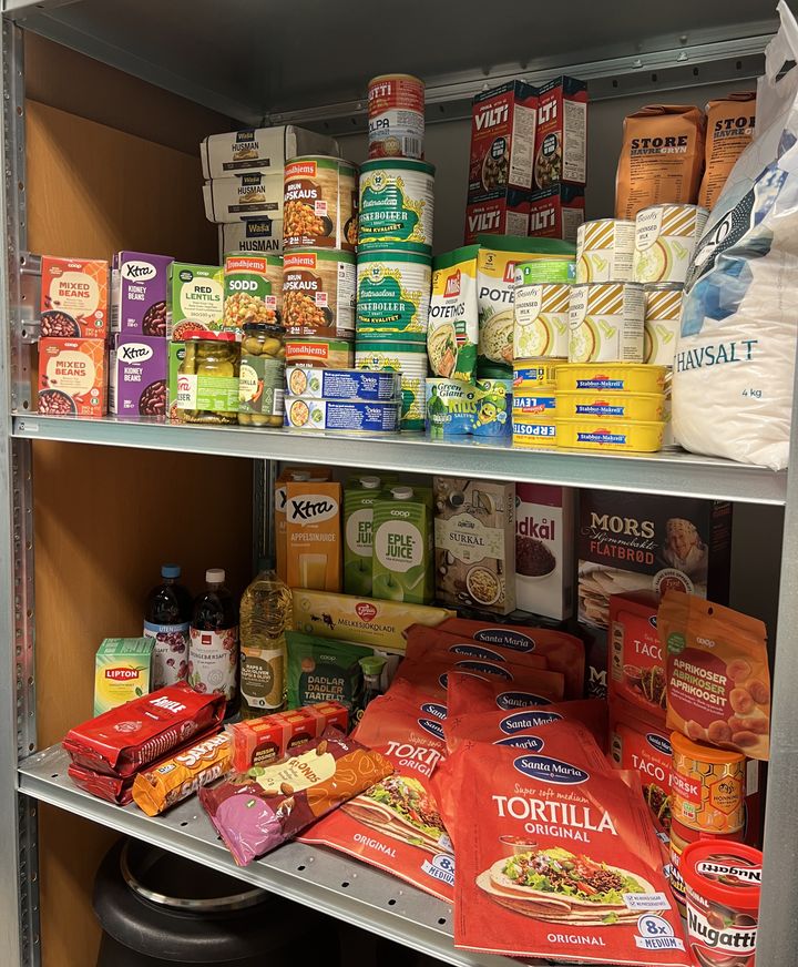 Nok mat er viktig i en krise. Slik kan et matberedskapslager se ut for en familie på fire. Vann kommer i tillegg. Foto: Oda Bjørnsborg, Nofima.