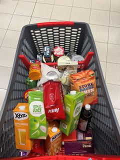 Et beredskapslager for en familie fyller fort en hel handlevogn. 56 % av respondentene i studien mente det var sannsynlig at de ville få bruk for beredskapslageret sitt. Foto: Oda Bjørnsborg