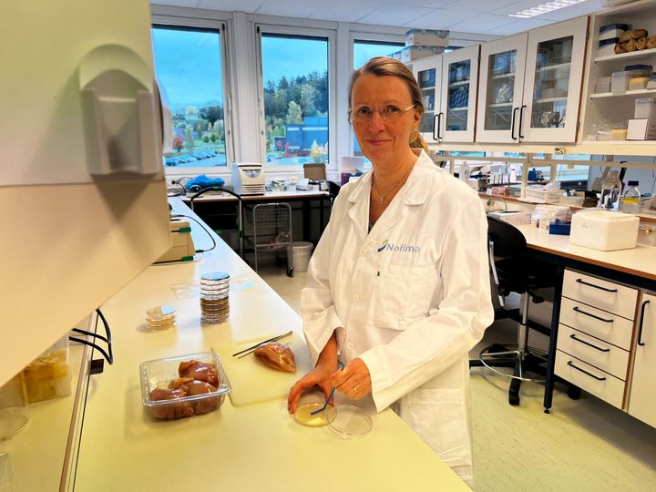 Nofima-forsker Solveig Langsrud har ledet studien som har undersøkt når forbrukere oppfatter at kyllingen ikke lenger holder ønsket kvalitet.