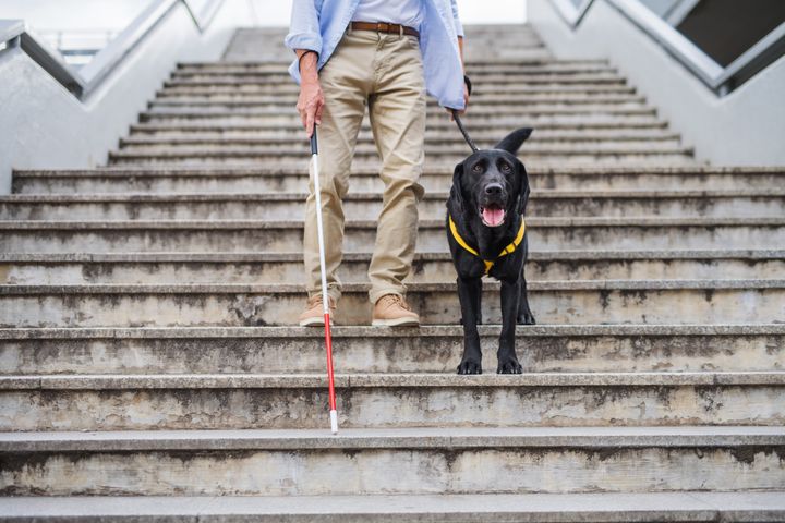 Mann som går ned trapper med blindehund