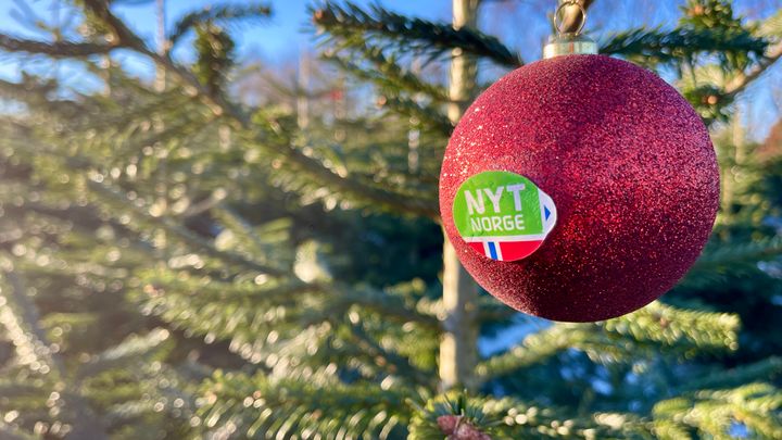 Nå kan du kjøpe juletrær som er merket med Nyt Norge som garanterer at treet er norsk.