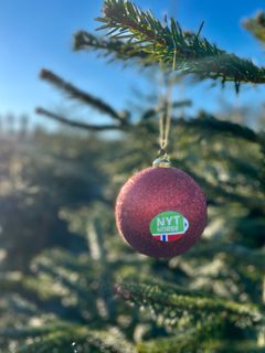 I år får du også juletrær merket med Nyt Norge.