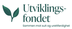 Utviklingsfondet