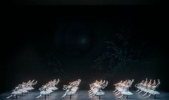 La Bayadère inneholder blant annet den ikoniske drømmescenen The Kingdom of the Shades.