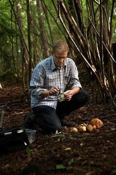 En mann kneler i skogen og undersøker sopp.