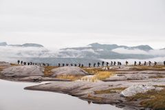 Landskapsbilde med et langt turfølge som går langs en fjellrygg i Hamarøy.
