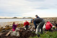 Folk plukker søppel i fjæra på Smøla