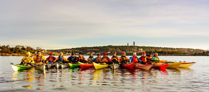 En gruppe med padlere flyter på rekke og rad vendt mot fotografen på sjøen